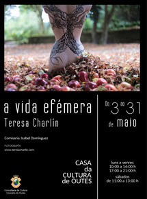 Gallery vida efemera 2019